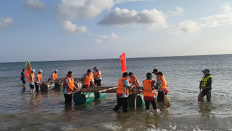 海口龙马照片2.png